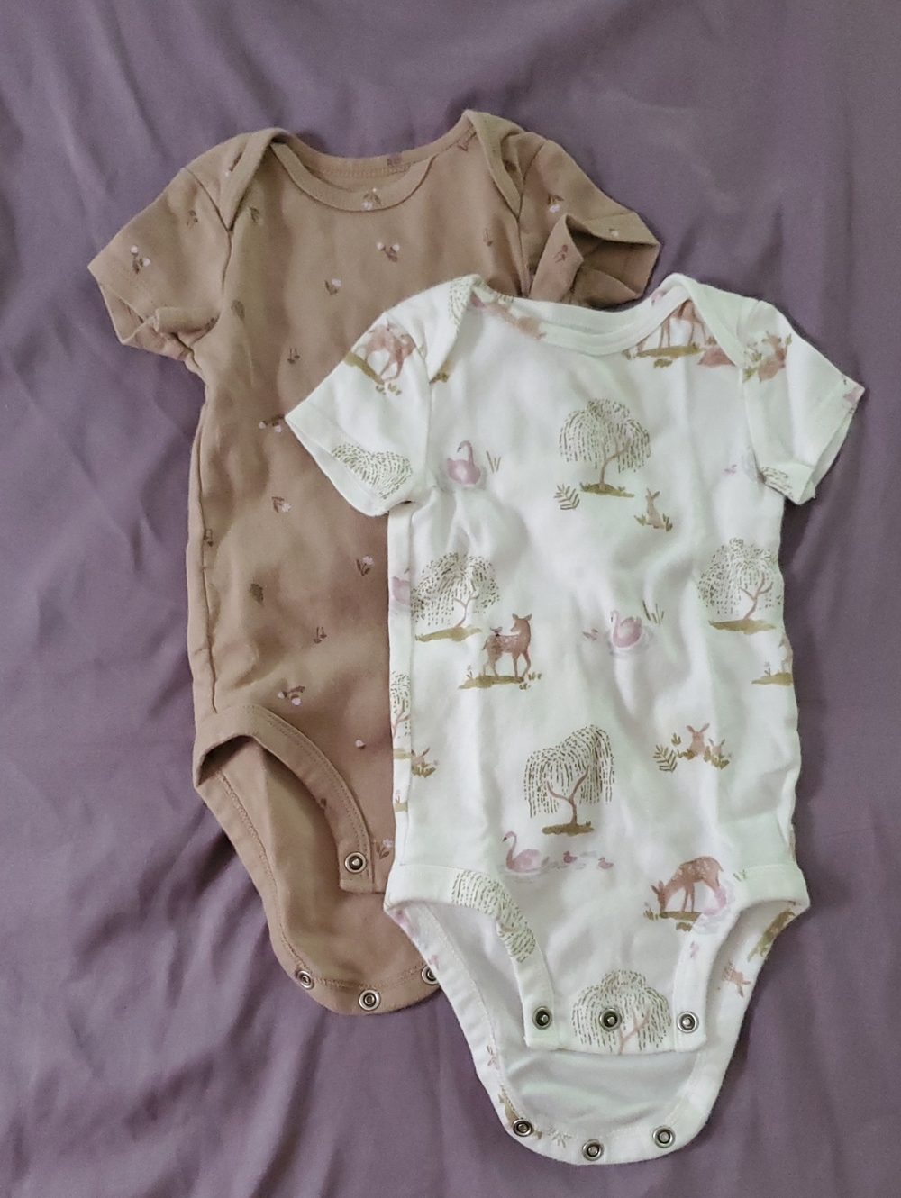 Carter's Short-Sleeve Bodysuit Set